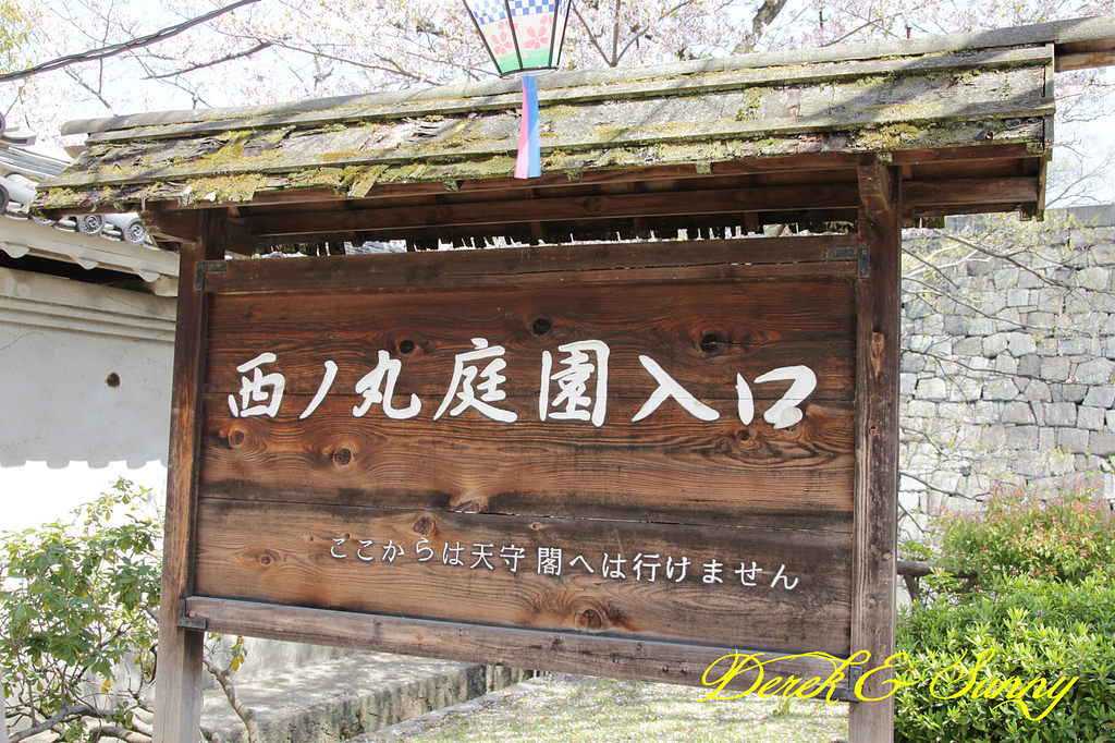 日本京阪賞櫻-櫻花篇-大阪城