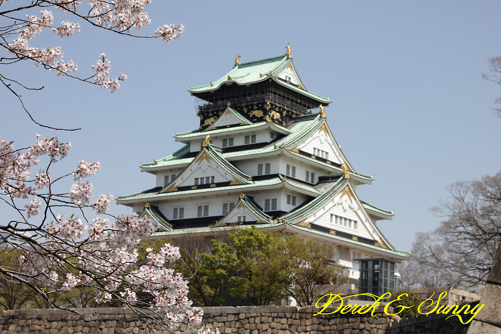 日本京阪賞櫻-櫻花篇-大阪城