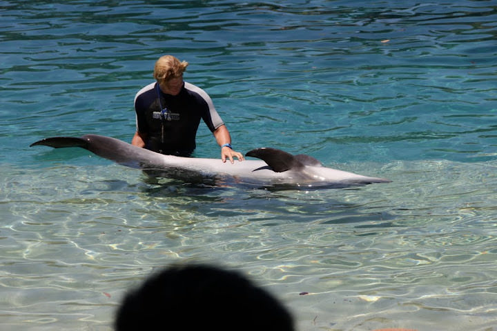 澳洲_黃金海岸_海洋世界_Sea World