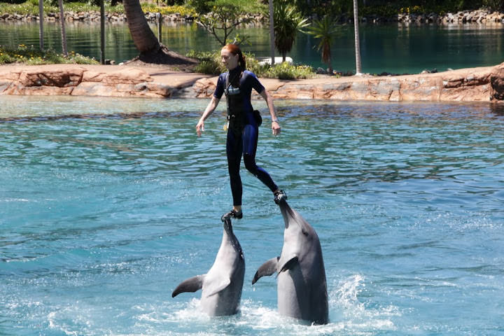 澳洲_黃金海岸_海洋世界_Sea World