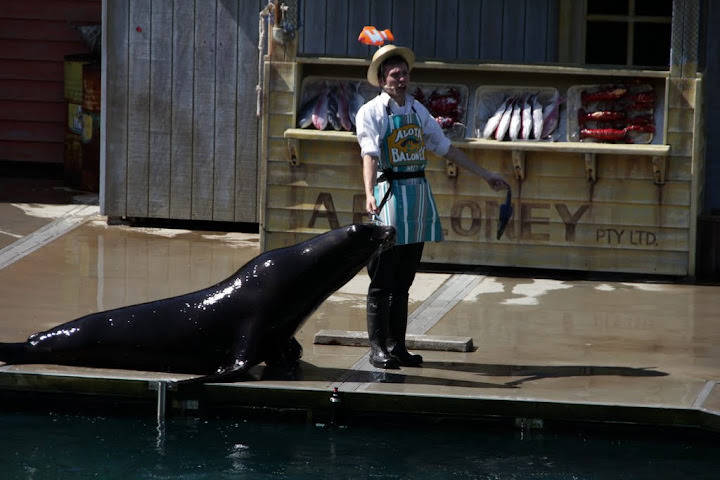 澳洲_黃金海岸_海洋世界_Sea World