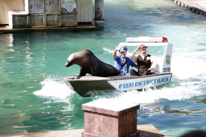 澳洲_黃金海岸_海洋世界_Sea World