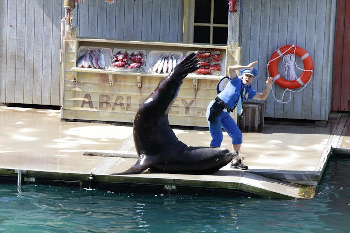 澳洲_黃金海岸_海洋世界_Sea World