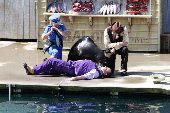 澳洲_黃金海岸_海洋世界_Sea World