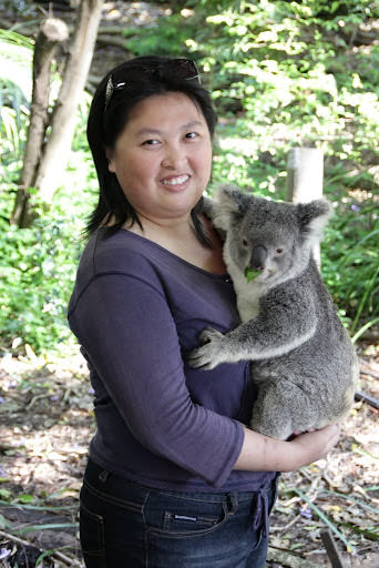 澳洲 布里斯班 龍柏無尾熊園區 Lone Pine Koala sonctuary