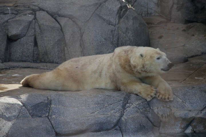 澳洲_黃金海岸_海洋世界_Sea World