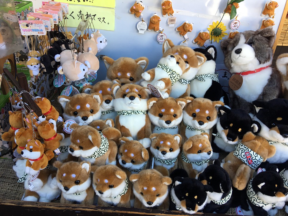 神社商店街 可愛