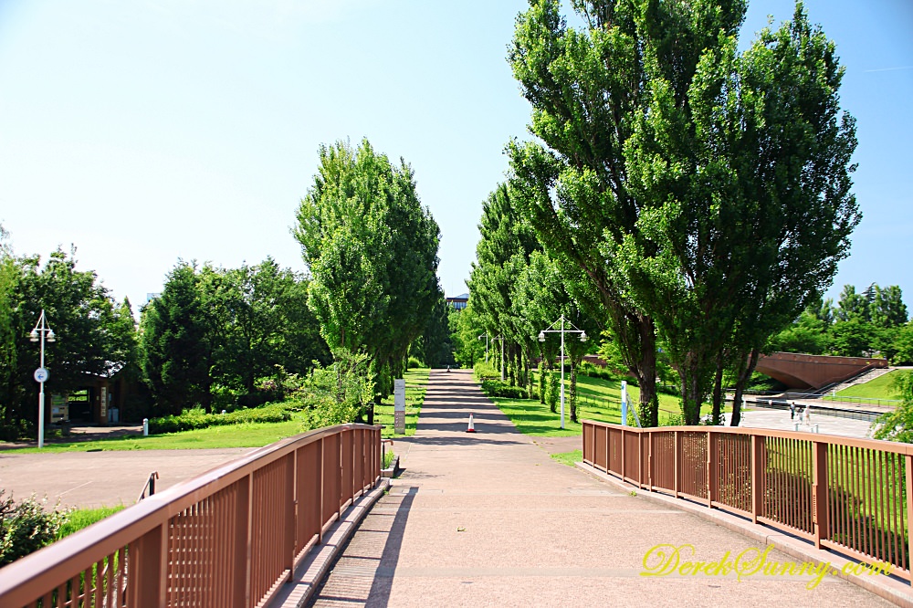 富岩運河環水公園_景色