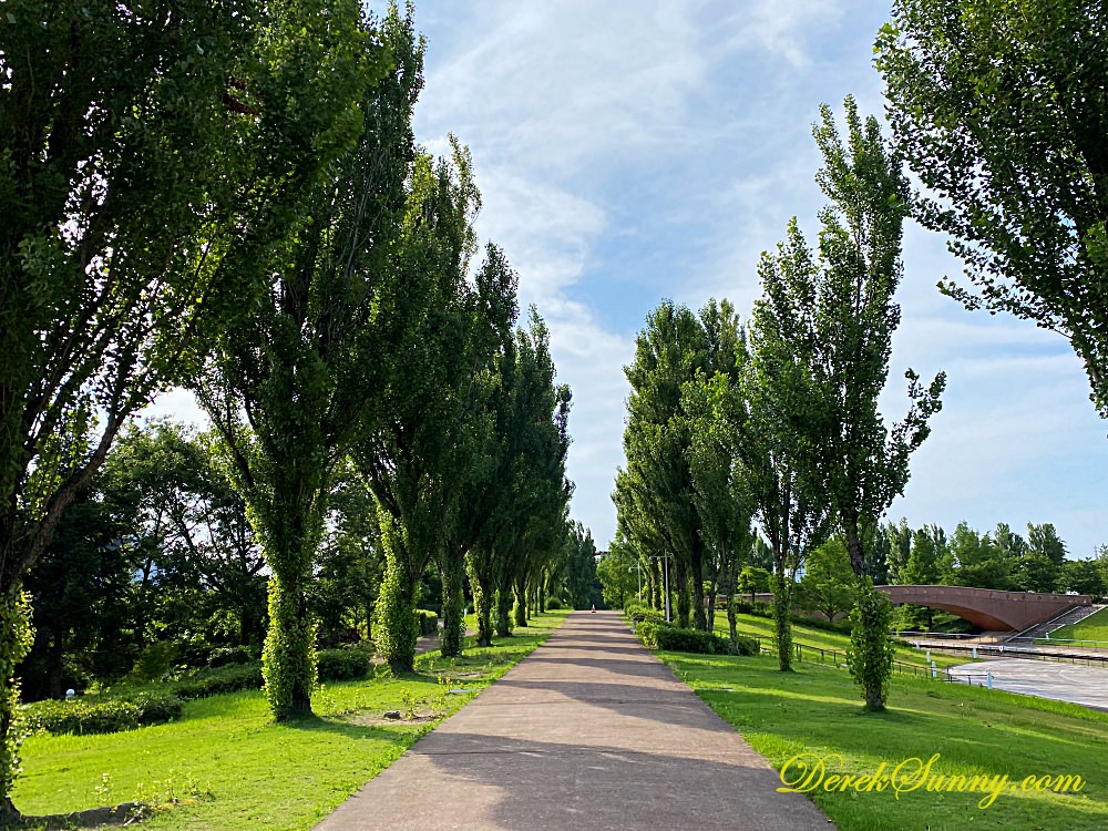 富岩運河環水公園_景色