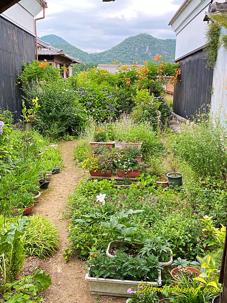美濃町家Mam’s_庭院
