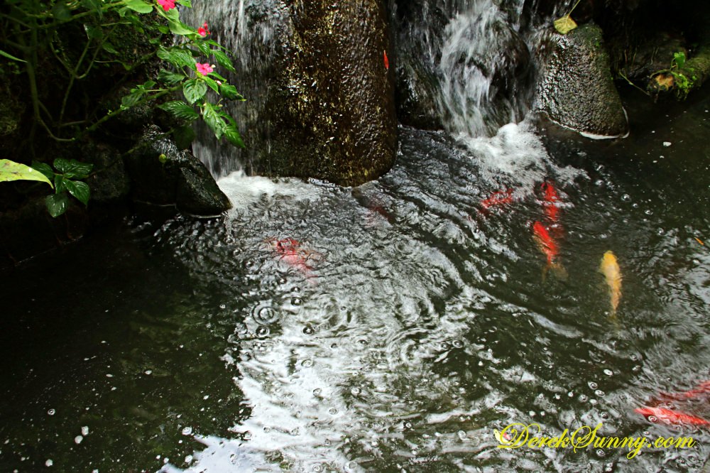 百年古家_大家 庭院