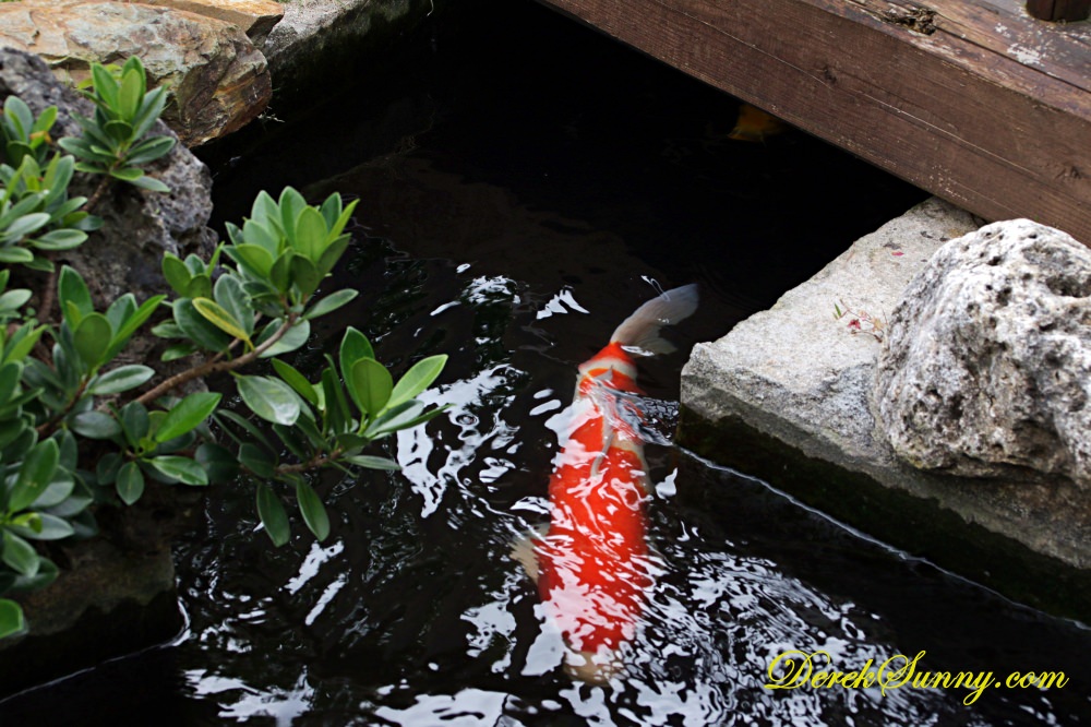 百年古家_大家 庭院