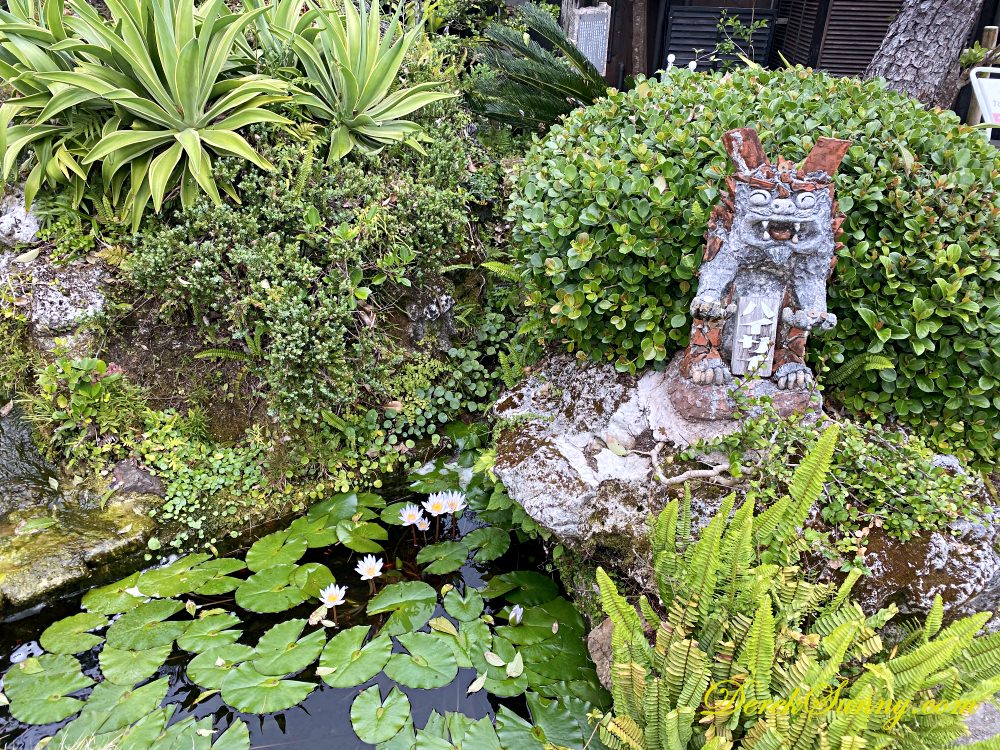 百年古家_大家 庭院