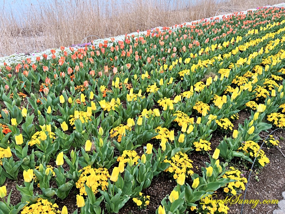 大石公園