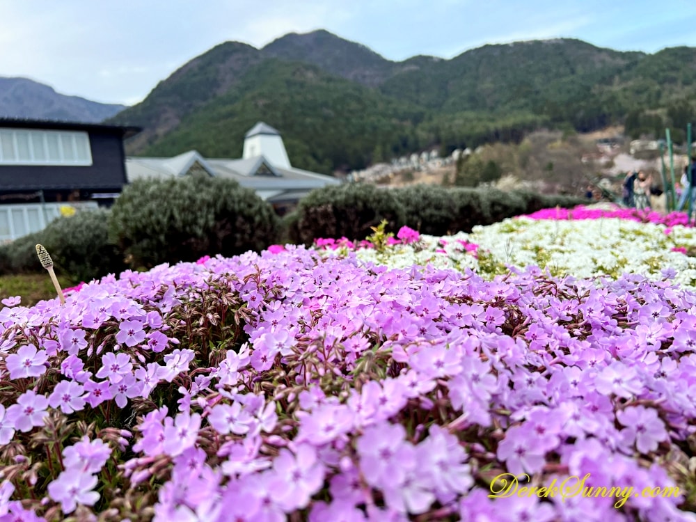 大石公園