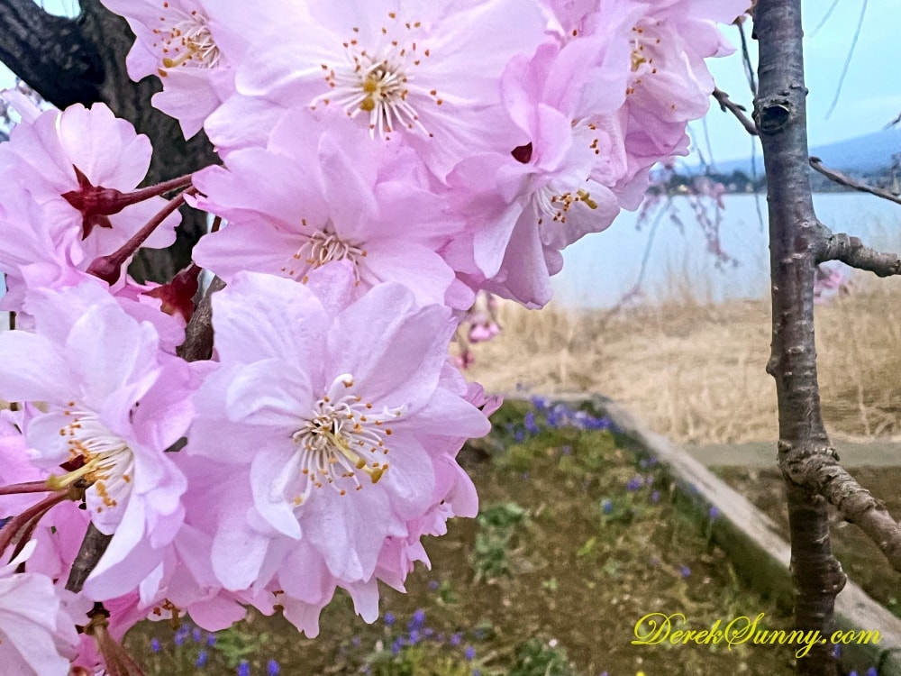 大石公園