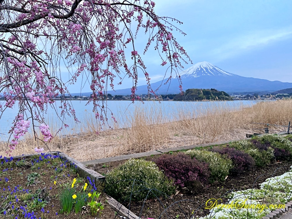 大石公園