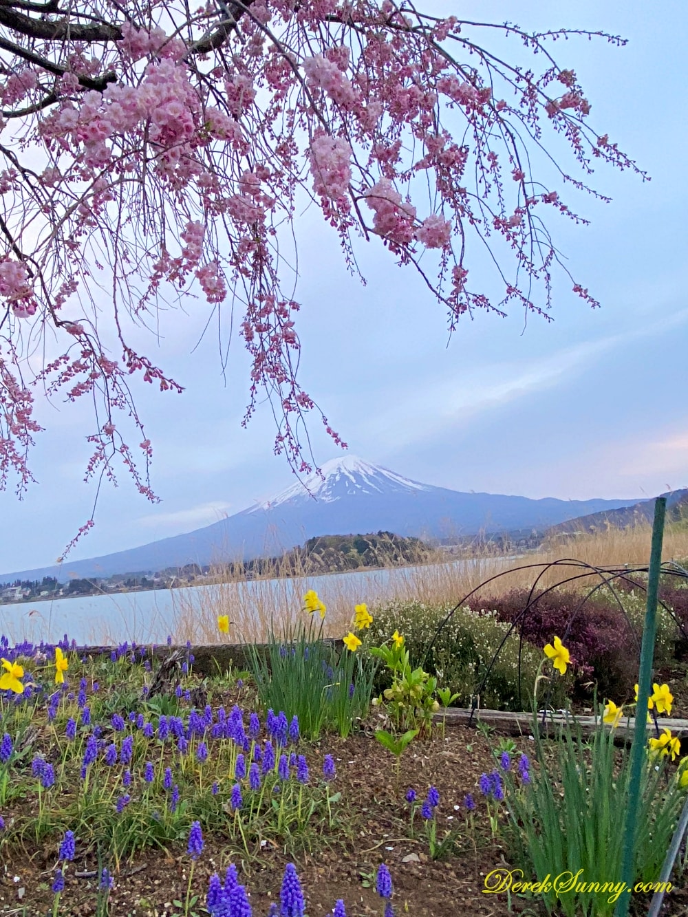大石公園