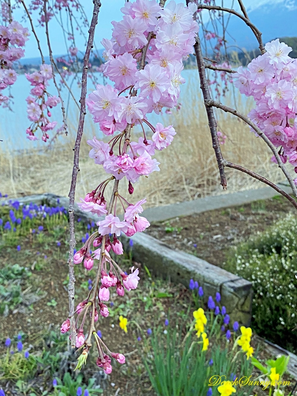 大石公園