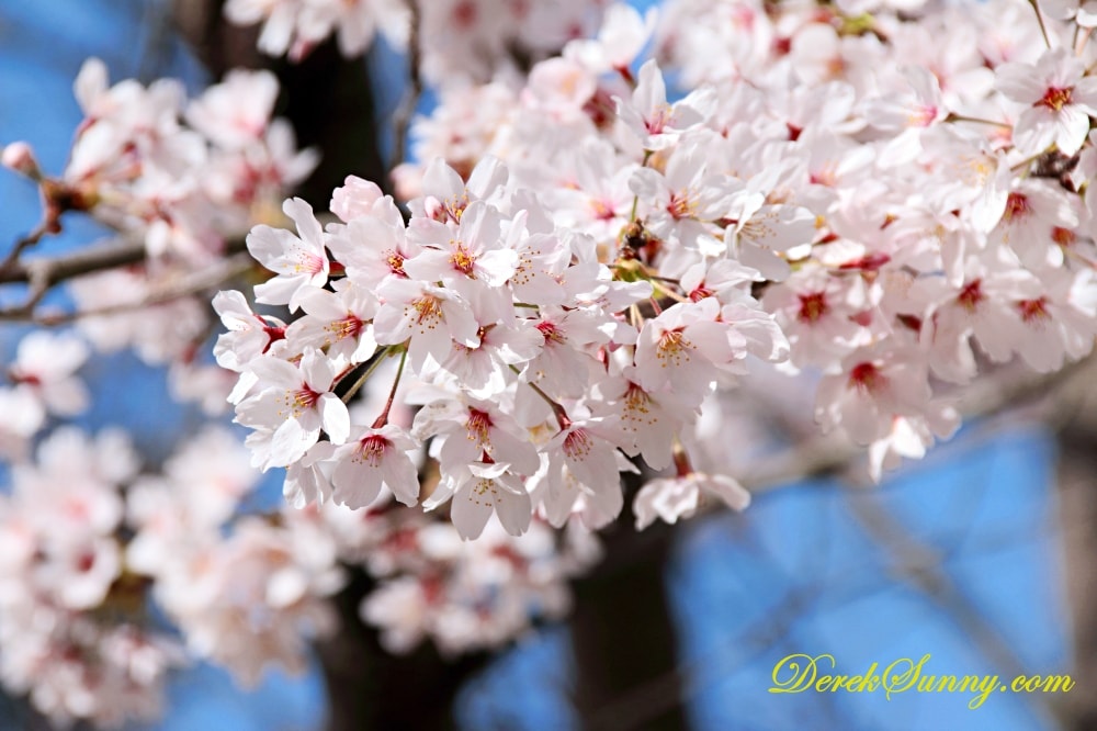 長崎公園
