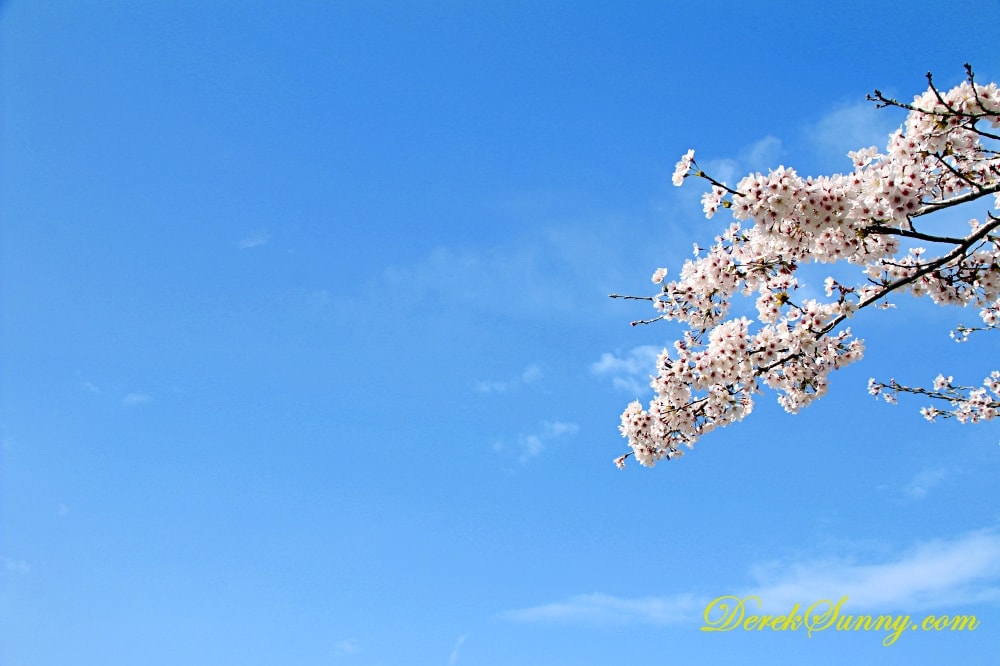 長崎公園