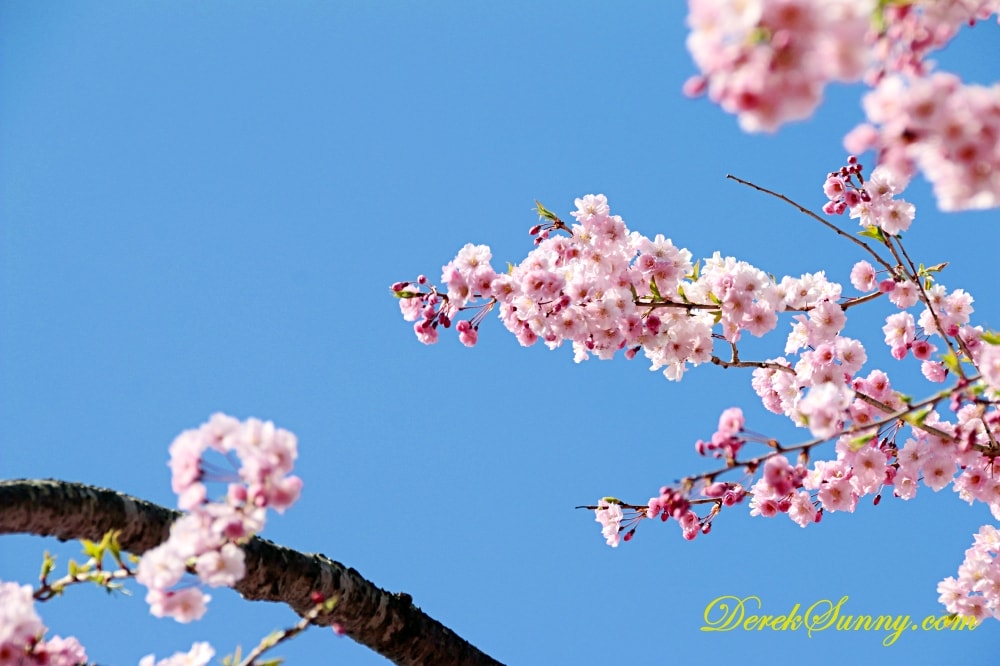 長崎公園