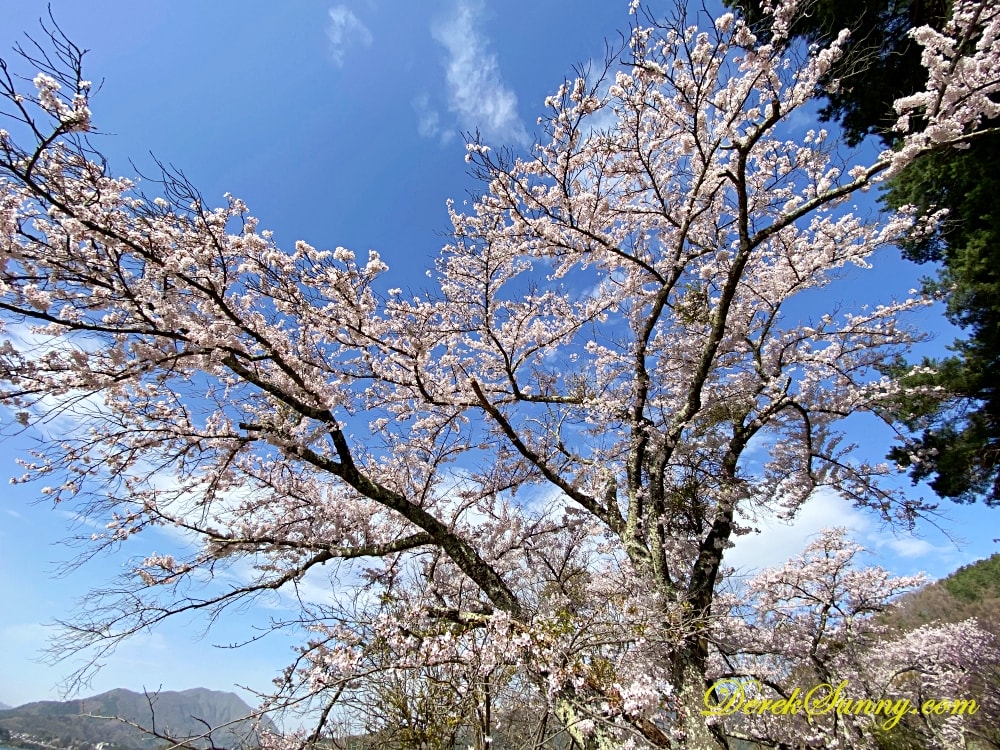 長崎公園