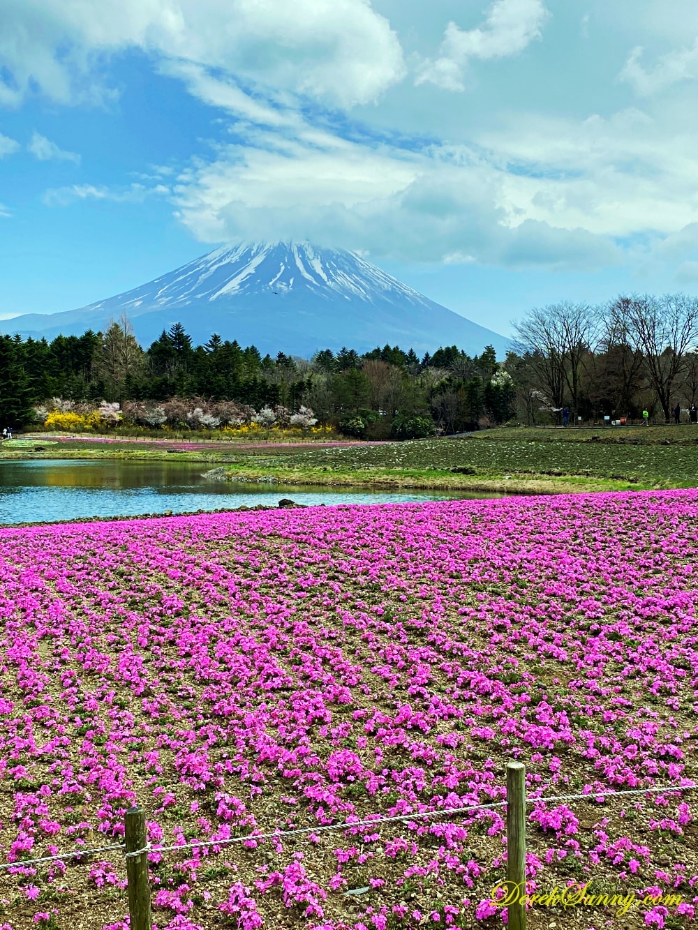 富士本栖湖リゾート