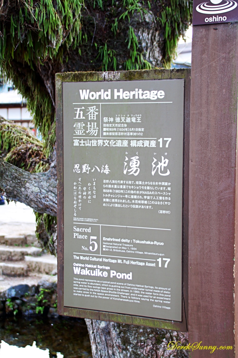 忍野八海