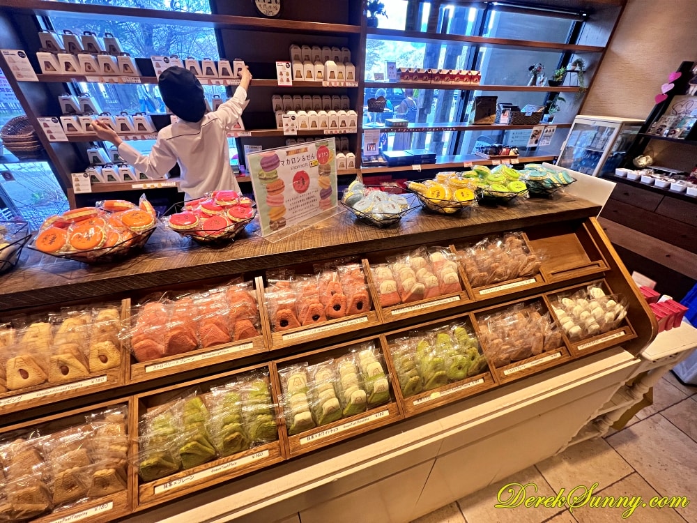 FUJIYAMA COOKIE