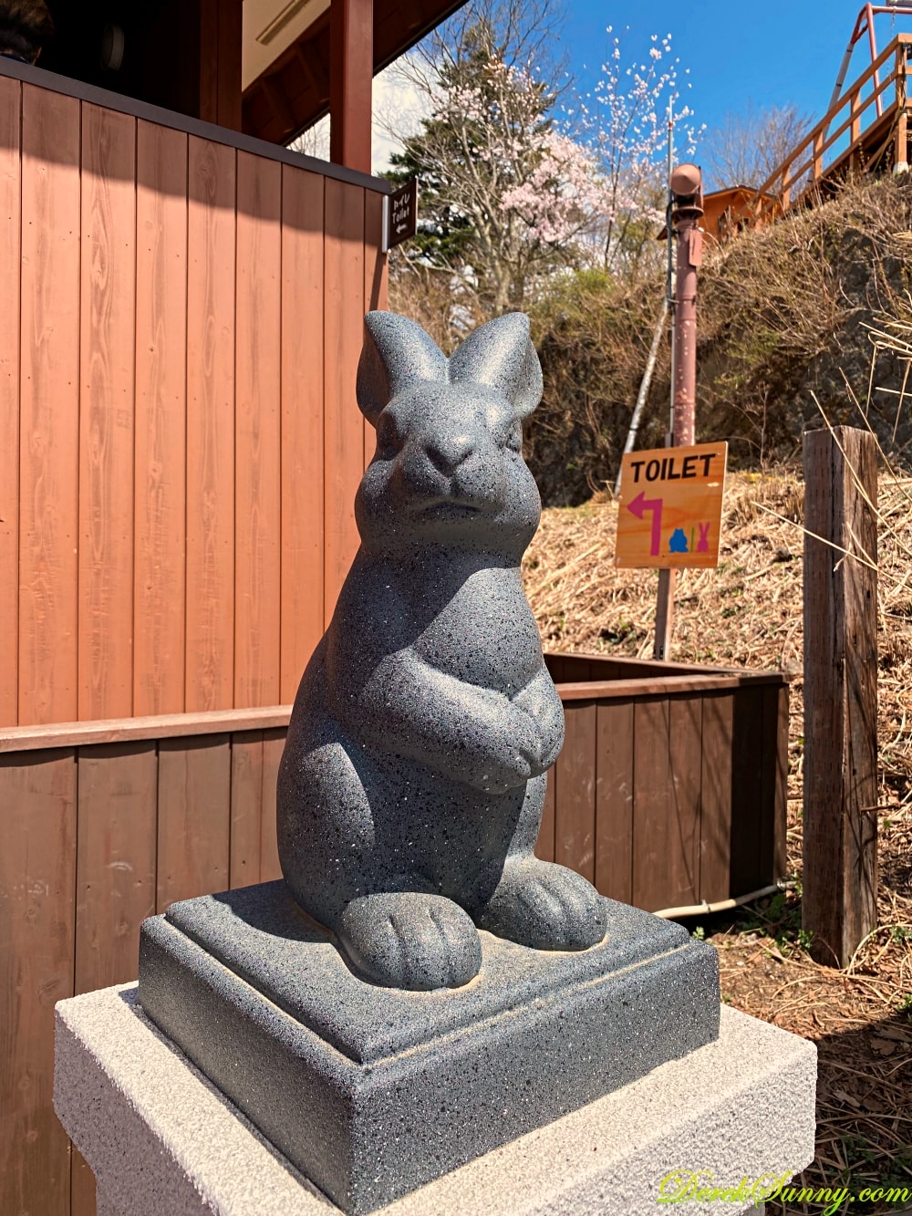 河口湖天上山公園