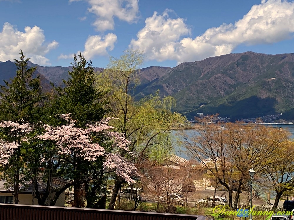 河口湖天上山公園