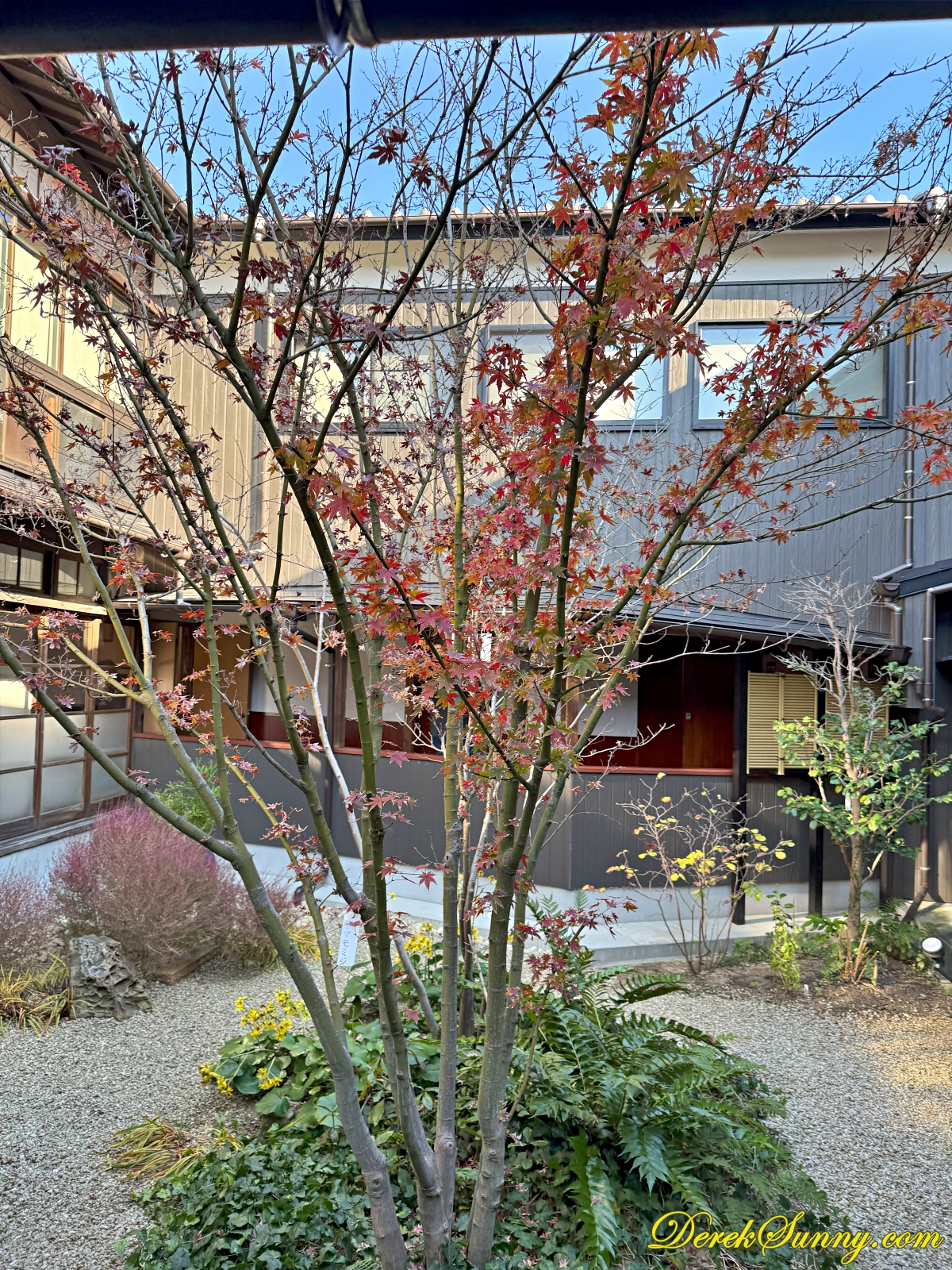 若松屋l img 0629 014