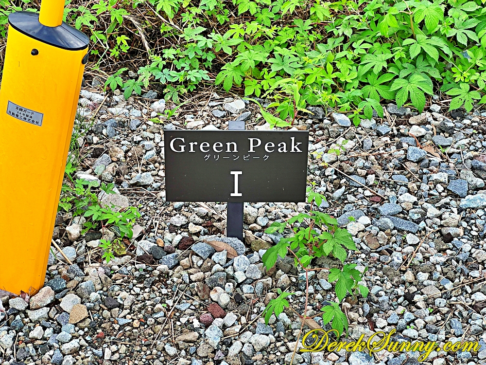 Green peak ch img 2239 782 103