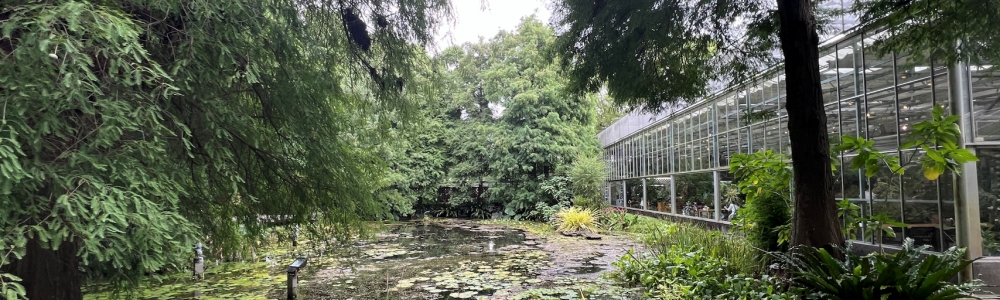 菁芳園