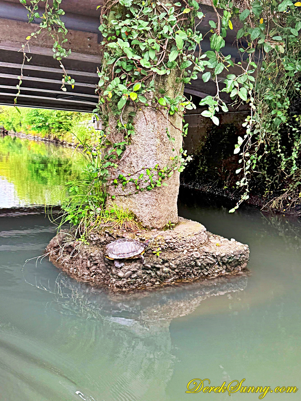 松月乘船場 ch img 1748 032 070