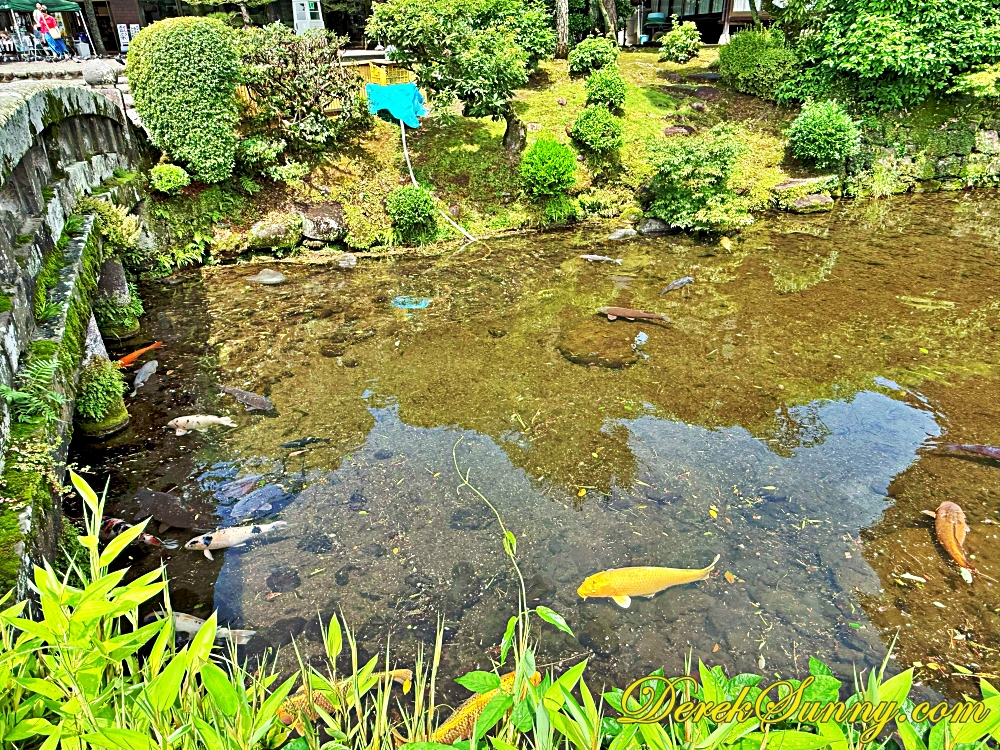 水前寺成趣園 ch img 1840 123 010