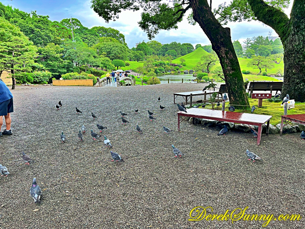 水前寺成趣園 ch img 1854 404 037