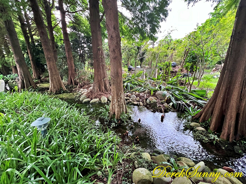 菁芳園