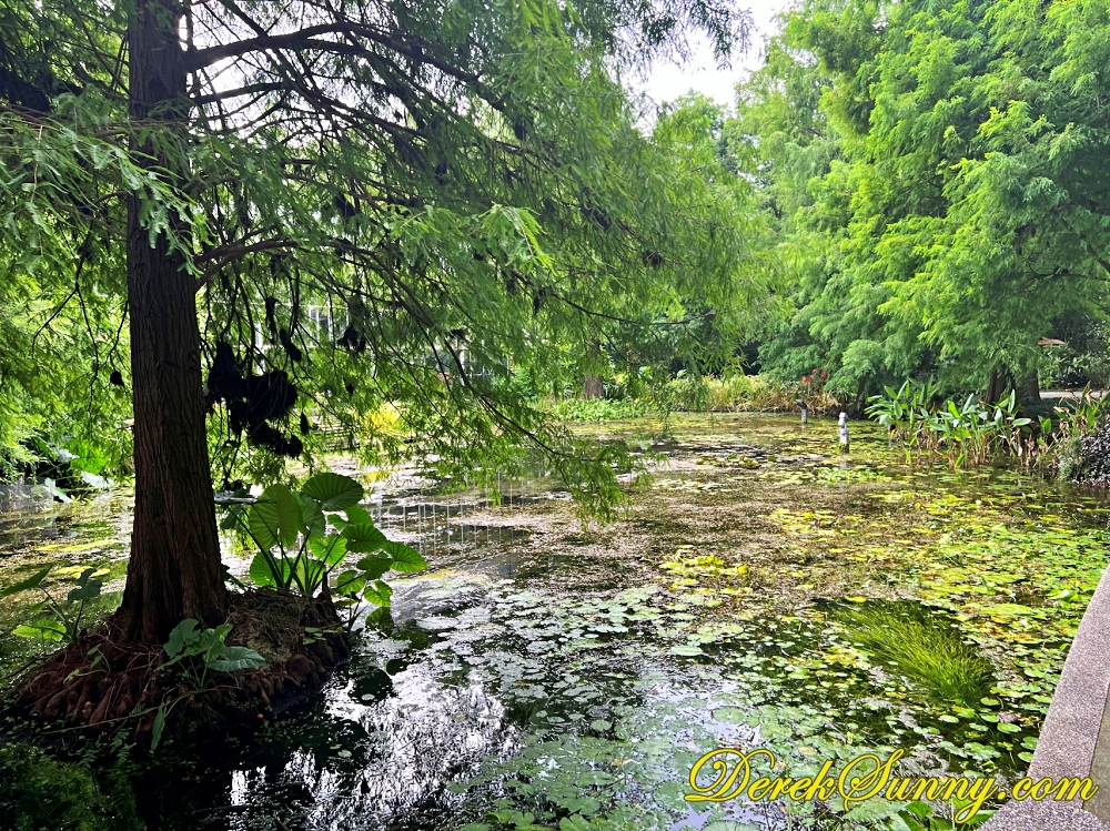 菁芳園