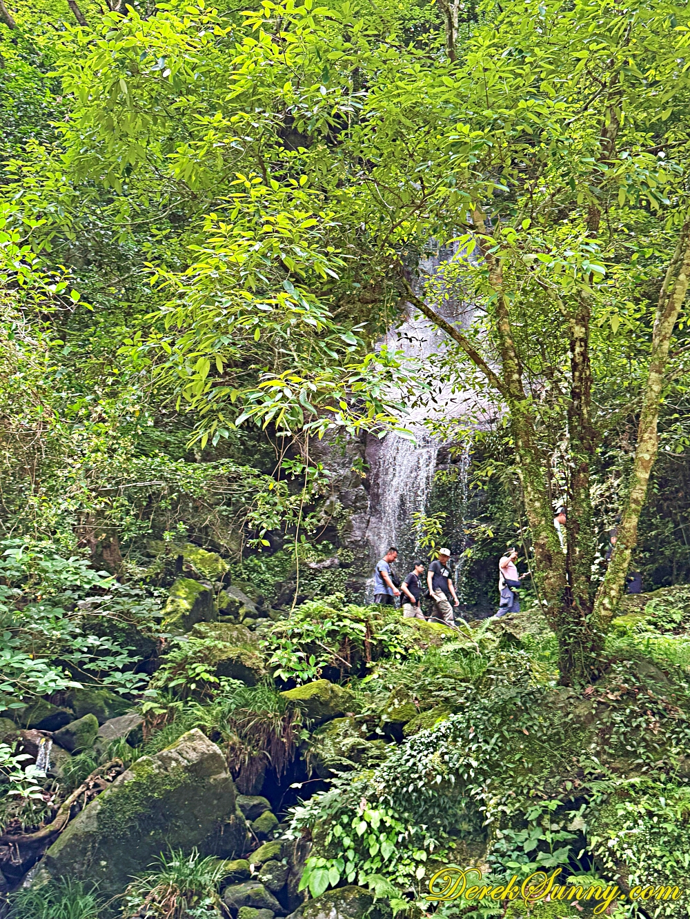 高千穗峽 ch img 2143 415 021